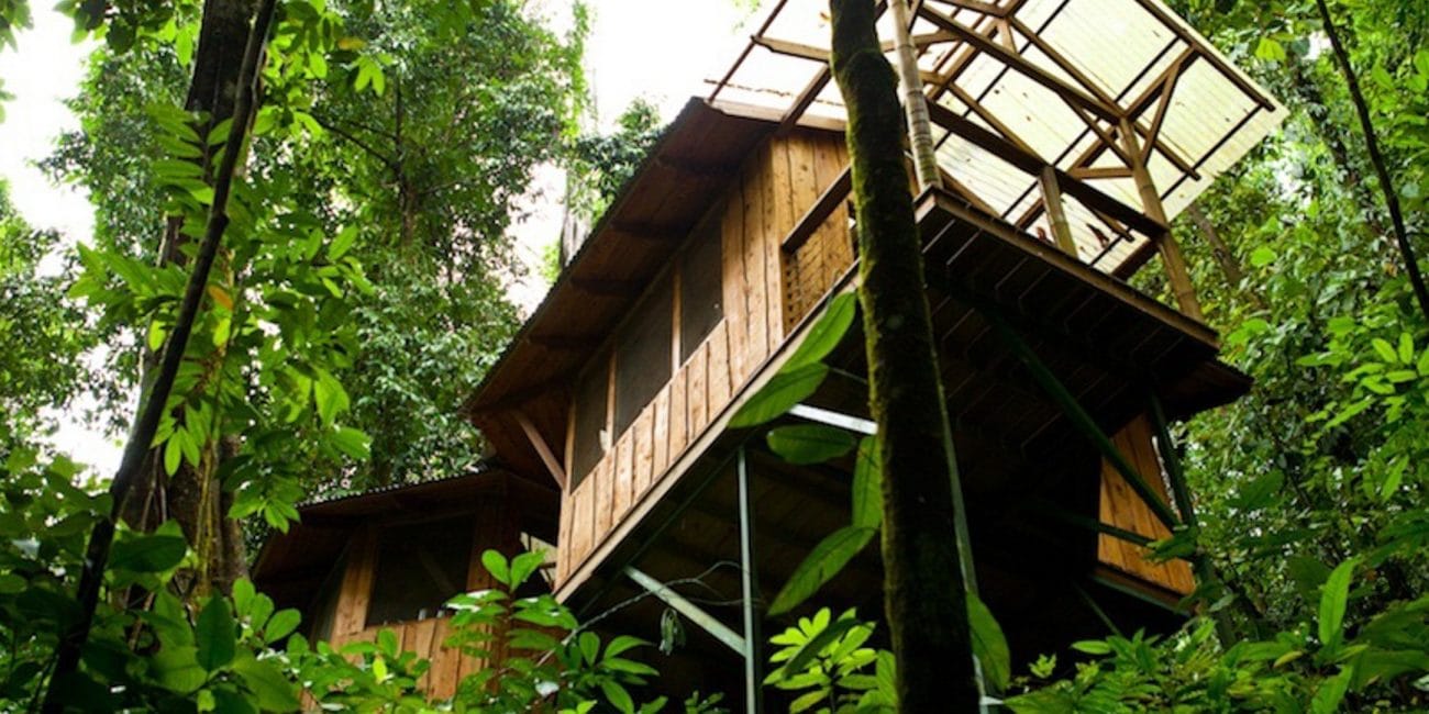 THe photo shows the ground view looking up into a tall wooden treehouse in Costa Rica.