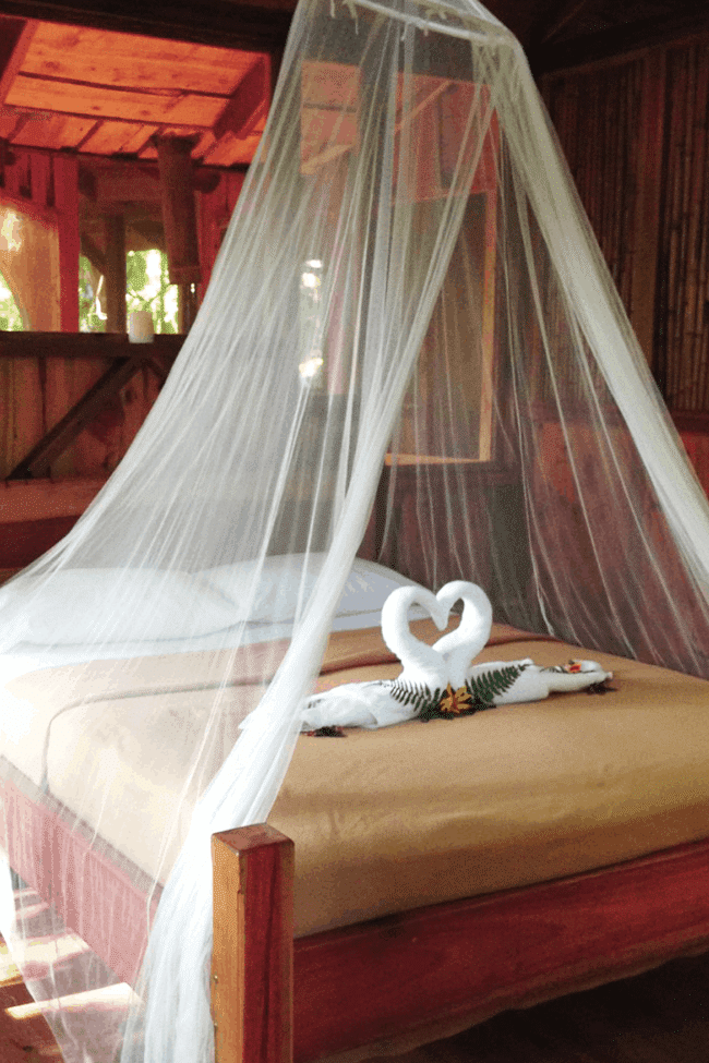 Image shows an empty hotel bed, with a sheer curtain draped above it and two towels folded into the shape of swans kissing on the bed,