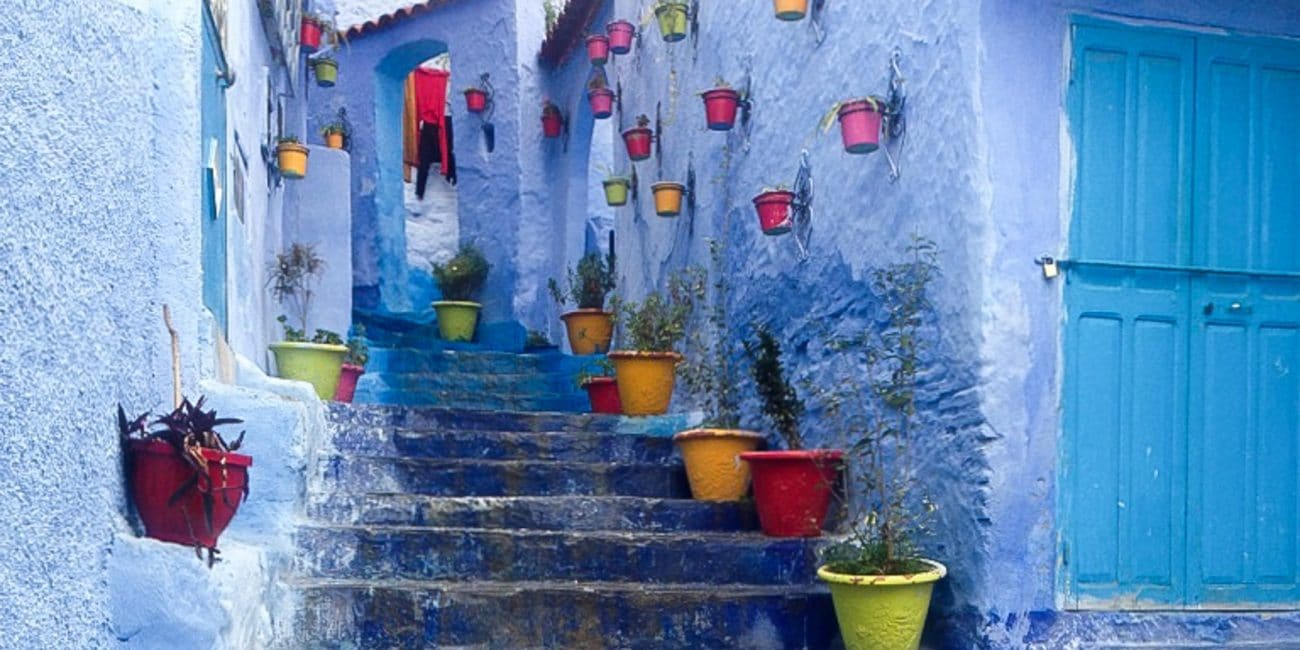 Image shows a stairwell in the Moroccan city of Chefchaouen. The medina is painted blue, with doors and stairs painted different shaes of blue. Along the stairwell, brightly coloured flowerpots hang against walls.